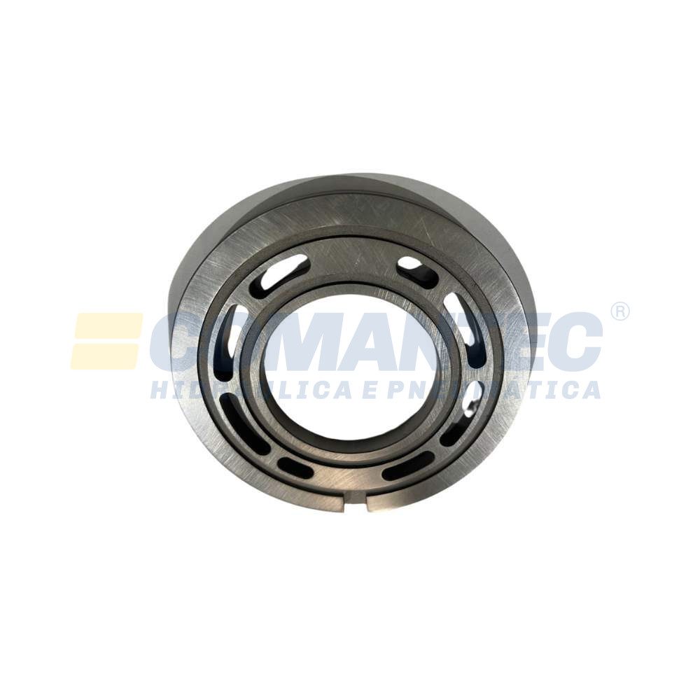 Placa de valvula 1 (2)